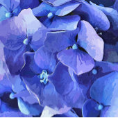 BLUE HYDRANGEA GOLFHEADCOVER