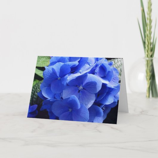 Blue Hydrangea Kaart (Voorkant)