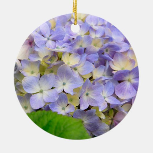 Blue Hydrangea Keramisch Ornament (Achterkant)