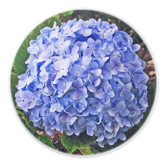 Blue Hydrangea Keramische Knop (Voorkant)