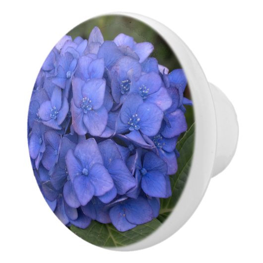 Blue Hydrangea Laurel Floral Keramische Knop (Rechts)