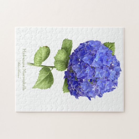 Blue Hydrangea Legpuzzel (Horizontaal)