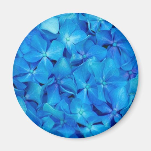Blue Hydrangea Magnet (Voorkant)