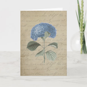  Blue Hydrangea met Antiek kalligrafie Bedankkaart