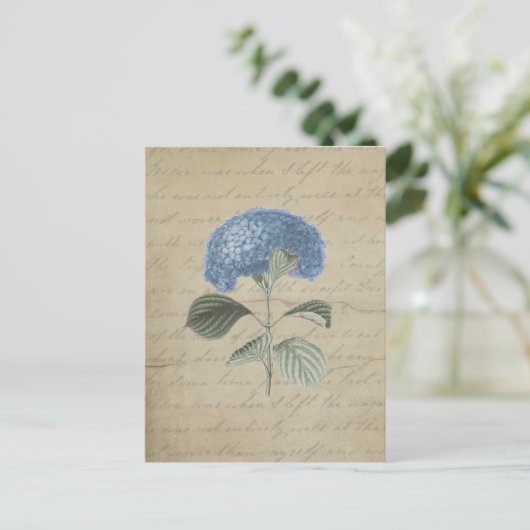  Blue Hydrangea met Antiek kalligrafie Briefkaart (Staand voorkant)