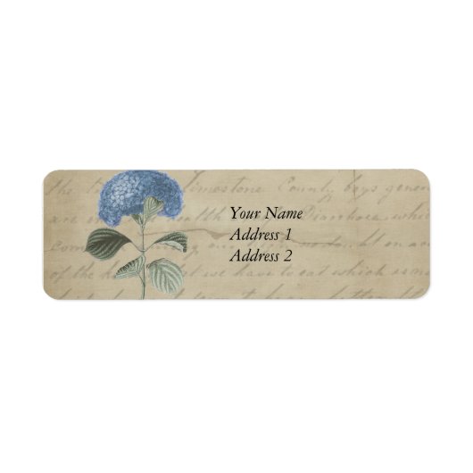  Blue Hydrangea met Antiek kalligrafie Etiket (Voorkant)