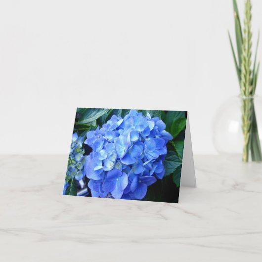 Blue Hydrangea Note Kaart (Voorkant)