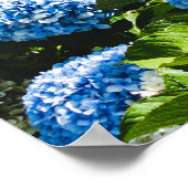 Blue Hydrangea op gradiëntoceaan Jigzaag Puzzle Poster (Hoek)