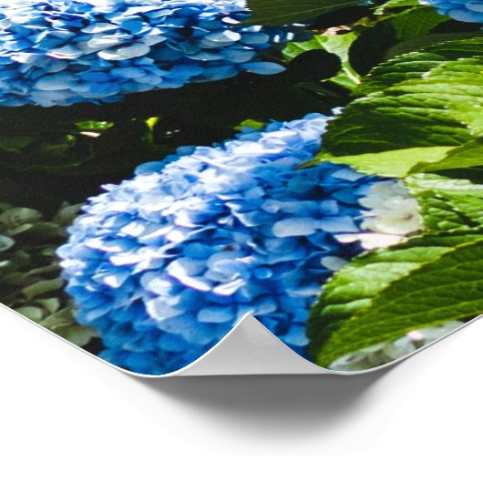 Blue Hydrangea op gradiëntoceaan Jigzaag Puzzle Poster (Hoek)