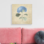 Blue Hydrangea op  kalligrafie Canvas Afdruk (Insitu (Woonkamer))