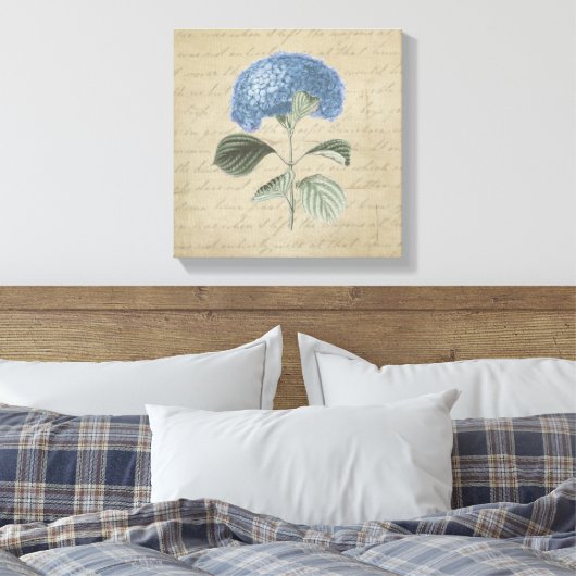 Blue Hydrangea op  kalligrafie Canvas Afdruk (Insitu (Slaapkamer))