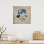Blue Hydrangea op Old Parchment Poster (Keuken)
