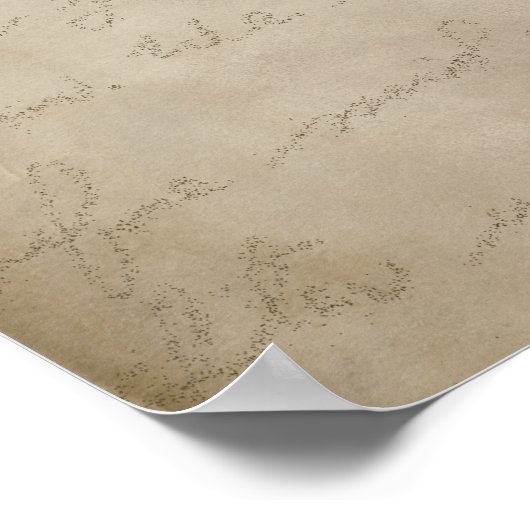  Blue Hydrangea op Old Parchment Poster (Hoek)