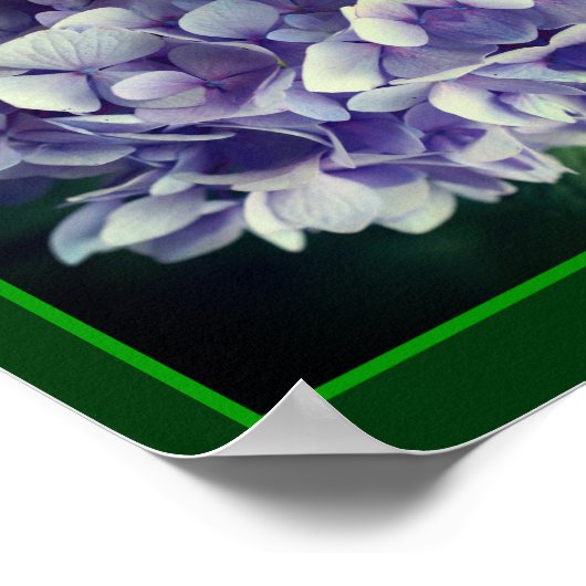 Blue Hydrangea Petals Close Up Abstract Poster (Hoek)
