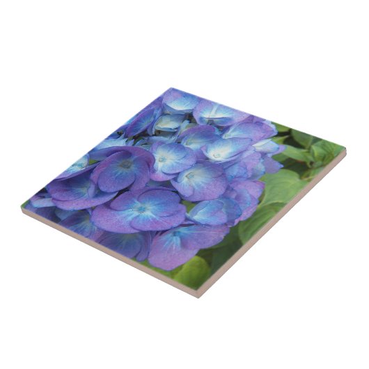 Blue Hydrangea Petals Floral Tegeltje (Zijkant)