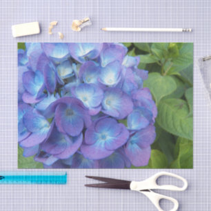Blue Hydrangea Petals Floral Tissuepapier