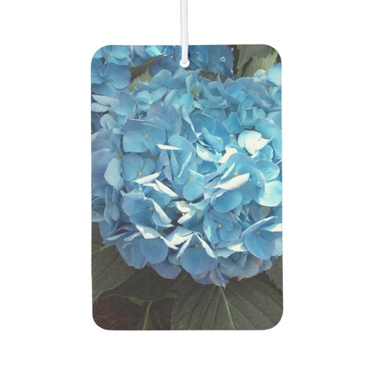 Blue Hydrangea Portret Rectangle Air Freshener Luchtverfrisser (Voorkant)