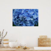 Blue Hydrangea Poster (Keuken)