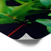 Blue Hydrangea Poster (Hoek)