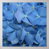 Blue Hydrangea Print (Voorkant)