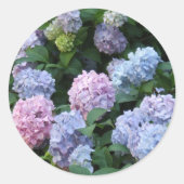 Blue Hydrangea Ronde Sticker (Voorkant)