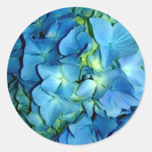Blue Hydrangea Ronde Sticker