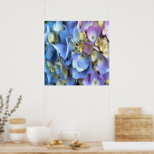 Blue Hydrangea Shrub Artistic Bossom Poster (Keuken)