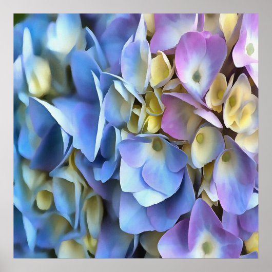 Blue Hydrangea Shrub Artistic Bossom Poster (Voorkant)