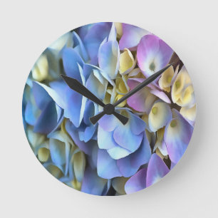Blue Hydrangea Shrub Artistic Bossom Ronde Klok