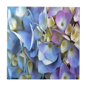 Blue Hydrangea Shrub Artistic Bossom Tegeltje
