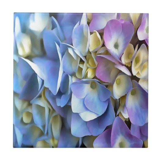 Blue Hydrangea Shrub Artistic Bossom Tegeltje (Voorkant)