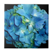 Blue Hydrangea Tegeltje (Voorkant)
