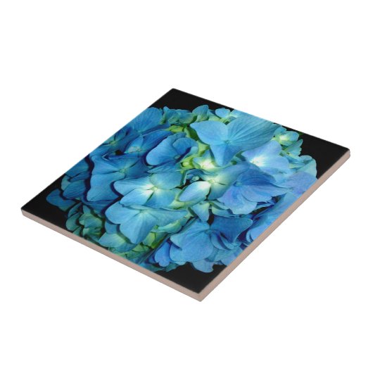 Blue Hydrangea Tegeltje (Zijkant)