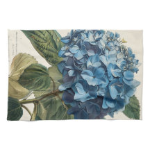 Blue Hydrangea 