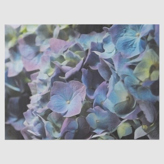 Blue Hydrangea Tissuepapier (Voorkant)