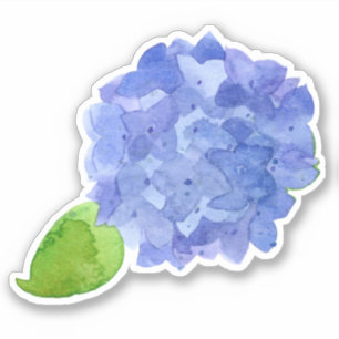 Blue Hydrangea Watercolor Flower Sticker