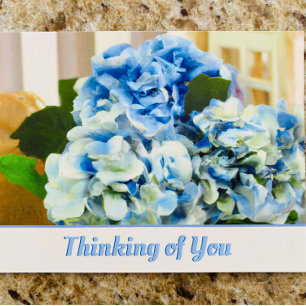 Blue Hydrangeas   Denk aan uw Briefkaart