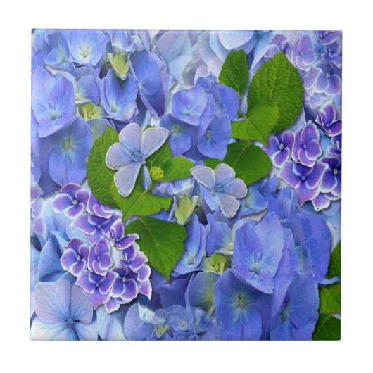 Blue Hydrangeas en Butterflies Tegeltje (Voorkant)