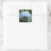 Blue Hydrangeas Flowers Floral Nature Photography  Vierkante Sticker (Tas)