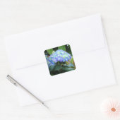 Blue Hydrangeas Flowers Floral Nature Photography  Vierkante Sticker (Envelop)
