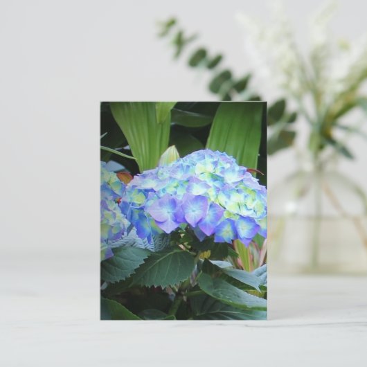 Blue Hydrangeas Flowers Floral Natuur Fotografie Briefkaart (Staand voorkant)