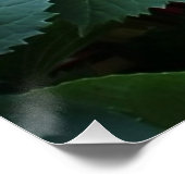 Blue Hydrangeas Flowers Floral Natuur Fotografie Perfect Poster (Hoek)