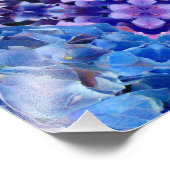 Blue Hydrangeas Flowers Foto afdrukken (Hoek)