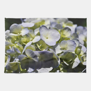 Blue Hydrangeas Flowers Theedoek