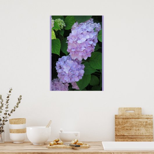 Blue Hydrangeas (Foto) Poster (Keuken)