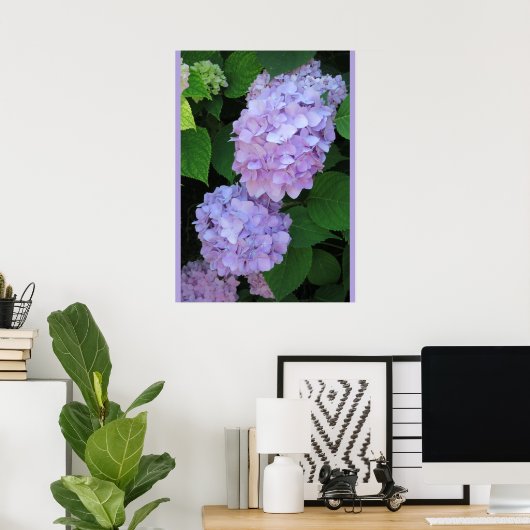 Blue Hydrangeas (Foto) Poster (Thuiskantoor)
