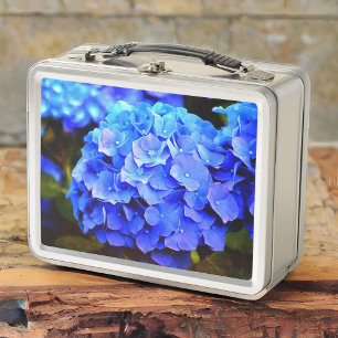 Blue Hydrangeas Lunchbox