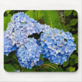 Blue Hydrangeas Muismat