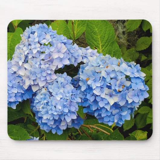 Blue Hydrangeas Muismat (Voorkant)
