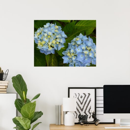 Blue Hydrangeas Poster (Thuiskantoor)